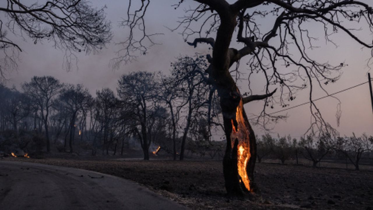 Şili'deki orman yangınlarında can kaybı 122'ye yükseldi
