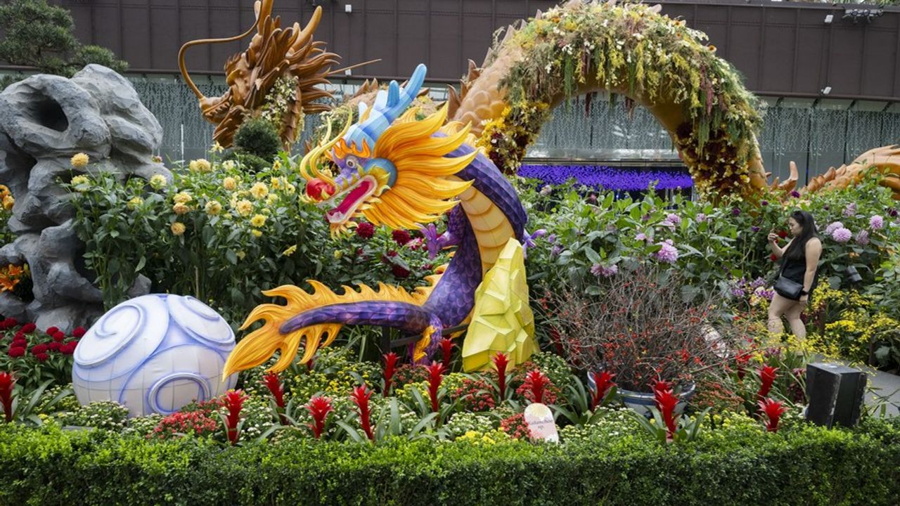 Singapur'da Çin Ay Yeni Yılı kutlamaları için ejderha temalı süslemeler hazırlanıyor