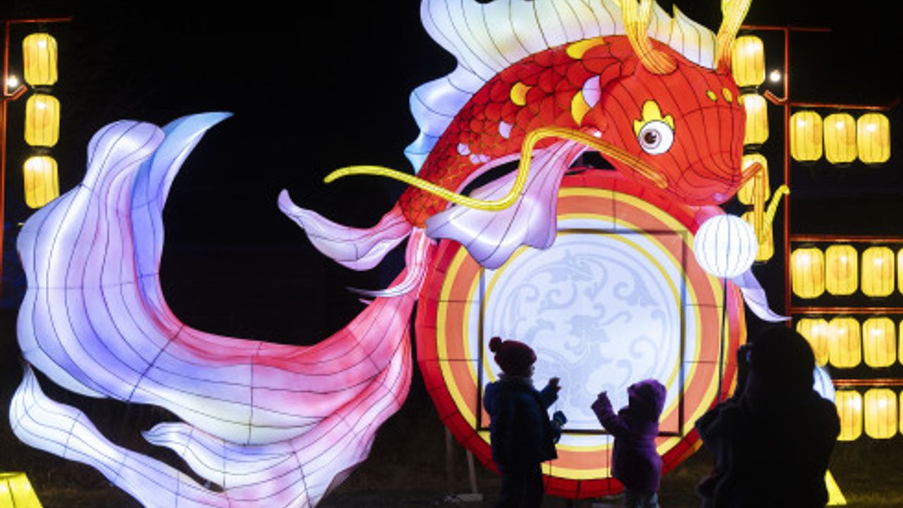 Kanada'da Çin Ay Yeni Yılını kutlamak için fener gösterisi düzenleniyor