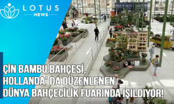 Video: Çin Bambu Bahçesi, Hollanda'da düzenlenen dünya bahçecilik fuarında ışıldıyor