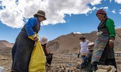 Everest'in eteğinde tarım