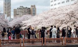 Japonya, deneme amacıya dört ülkeden küçük turist kafilelerine kapılarını açacak