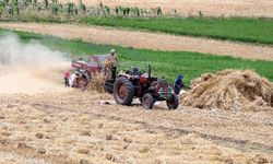 Mısır'da yerel buğday üretimi devam ediyor