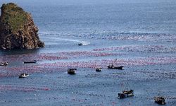 Çin'de deniz çiftliğinde çalışan balıkçılar