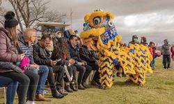 Kanberra'da Ejderha Teknesi Festivali kutlaması