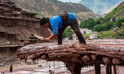 Tibet'te geleneksel tuz hasadı