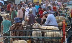 Gazze'deki kurban pazarı bayram öncesi canlandı