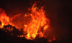 The Guardian: ABD hükümetinin Hawaii orman yangınına müdahalesine yönelik öfke artıyor