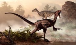 Dinozorlar Antarktika'da gezerken kıta nasıldı?