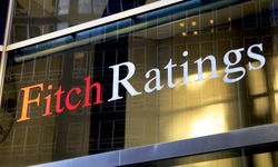 Fitch'ten küresel gıda enflasyonunda düşüş beklentisi