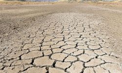 Endonezya'da El Nino sebebiyle yaklaşık 870.000 hektarlık tarım alanı kuraklık tehlikesi altında