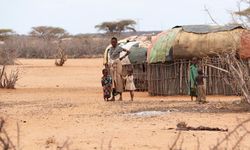 Kenya'da kuraklık etkili oluyor