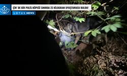 Video: Çin'de bir polis köpeği sınırda 23 kilogram uyuşturucu buldu