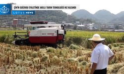 Video: Çin'in Guizhou eyaletinde akıllı tarım teknolojisi hız kazandı