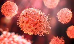 İsrailli araştırmacılar, kanser hücrelerinin kendilerini yok etmesini sağlayacak yeni bir yöntem geliştirdi