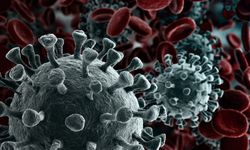 Aşıya dirençli yeni bir koronavirüs tespit edildi