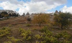 Kapadokya’da sonbahar güzelliği