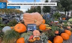 Video: Amsterdam'ın merkezinde Cadılar Bayramı için bal kabağı bahçesi oluşturuldu