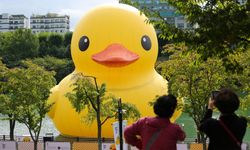 Dünyaca ünlü dev Plastik Ördek, Seul'e döndü