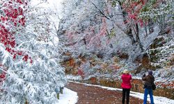 Meteoroloji'den kar yağışı uyarısı!