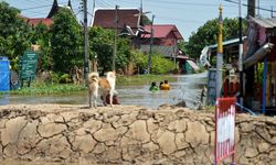 Tayland sel sularına teslim oldu