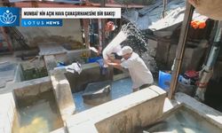 Video: Mumbai'nin açık hava çamaşırhanesine bir bakış