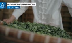 Video: Çin'in Batı Gölü Longjing çayını hazırlamanın sırları