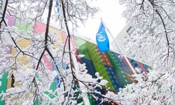 COP15'te Kunming-Montreal Küresel Biyolojik Çeşitlilik Çerçevesi kabul edildi