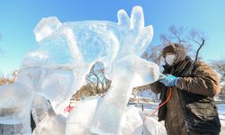 Çin'in Harbin kentinde buz heykeli yarışması düzenlendi