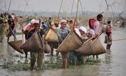 Albüm: Hindistan'ın Assam eyaletinde Bhogali Bihu festivali için toplu halde balık tutuldu