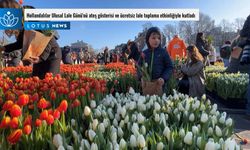 Video: Hollandalılar Ulusal Lale Günü'nü ateş gösterisi ve ücretsiz lale toplama etkinliğiyle kutladı