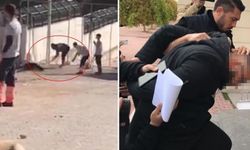 Konya’daki barınak vahşetinde cezalar belli oldu