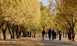 Beijing, 2023'te 8.000 hektarlık ekolojik restorasyon yapmayı planlıyor