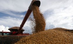 Brezilya, soya fasulyesi yağını biyoyakıta dönüştürmeyi başardı
