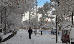 Erzurum, Kars ve Ardahan Kar Altında