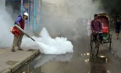 Bangladeş'te dang hummasına karşı sivrisinek ilaçlama çalışması yapılıyor