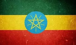 Dünya Gıda Programı: 2024 yılında Etiyopya'da 50 insani yardım çalışanı hayatını kaybetti