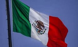 Meksika'da otobüs devrildi: En az 14 ölü