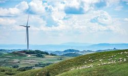 Çin'in kurulu yenilenebilir enerji kapasitesi Ocak-Ağustos döneminde arttı