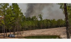 ABD'de orman yangını nedeniyle 28.000'den fazla kişi tahliye edildi
