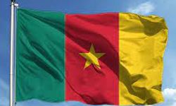 Kamerun'da otobüs kazası: 12 kişi öldü