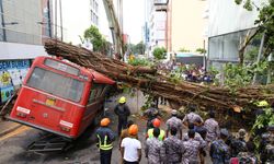 Sri Lanka'da devrilen ağacın altında kalan otobüste 5 kişi hayatını kaybetti