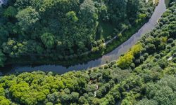 Çin'de Panxi Nehri'ndeki çevre iyileştirme çalışmaları meyvelerini verdi