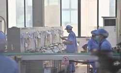 Çin'in sanayi üretimi Kasım'da yüzde 6,6 arttı