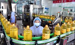 Çin'in Shandong eyaletinde sanayi ve tedarik zincirleri yerel ekonomiye destek oluyor