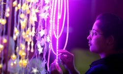 Işık festivalini kutlayan Hindistan'da 2,2 milyondan fazla kandil yakılarak rekor kırıldı