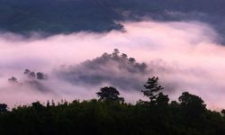 Bangladeş'in Bandarban kenti bulutların arasına gizlenmiş manzaralarıyla turistleri ağırlıyor