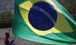 Brezilya'da 2024 itibarıyla rekor sayıda dang vakası kaydedildi