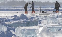 Donmuş nehirdeki buz küpleri Çin'in Harbin Buz ve Kar Dünyası'nda kullanılmak üzere toplanıyor