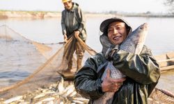 Çin'in Hunan eyaletinde kış balıkçılığı sezonu bu yıl yoğun geçiyor